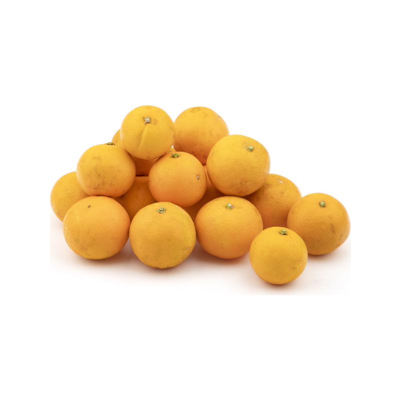 پرتقال آبگیری