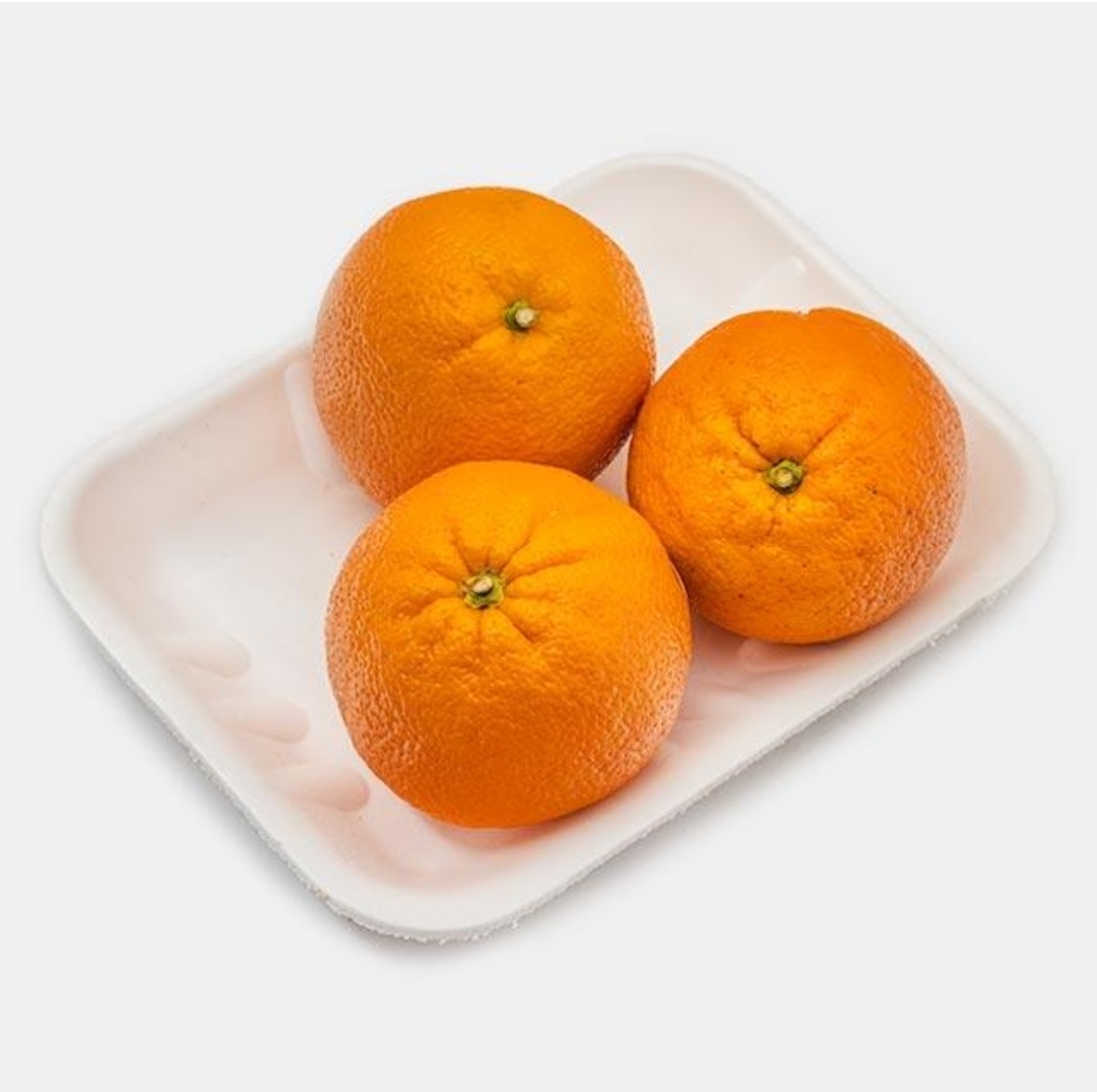 پرتقال شمال